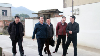 ��ɽ����������ǽͷ��չ���㵳��������׵���С�